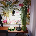 Couette-café La Delice 3*