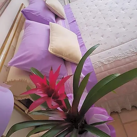 Oda ve Kahvaltı La Delice 3*